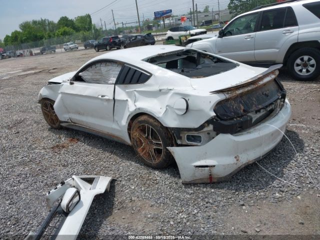 2019 FORD MUSTANG 1FA6P8TH8K5114605 Photo 2
