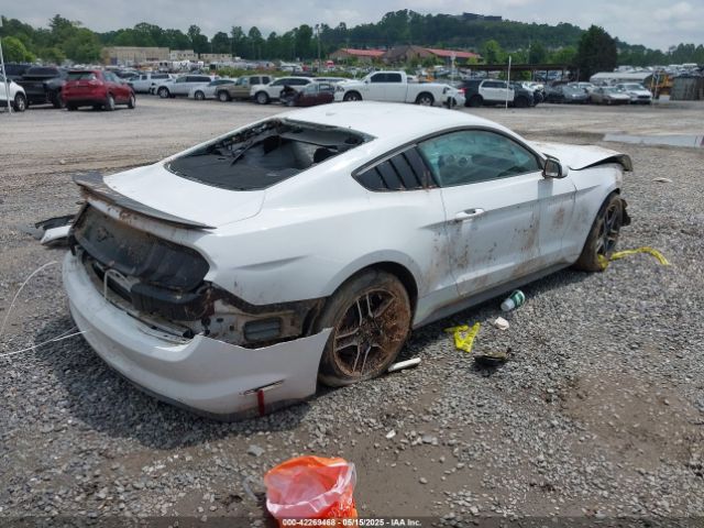 2019 FORD MUSTANG 1FA6P8TH8K5114605 Photo 3