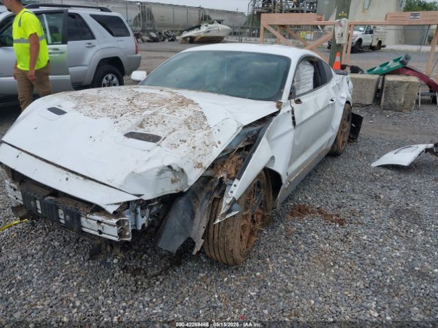 2019 FORD MUSTANG 1FA6P8TH8K5114605 Photo 5