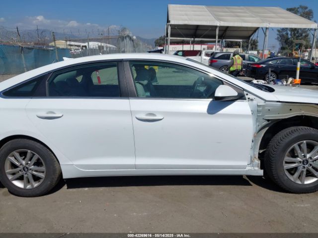 5NPE24AF0HH464172 Hyundai 2017
