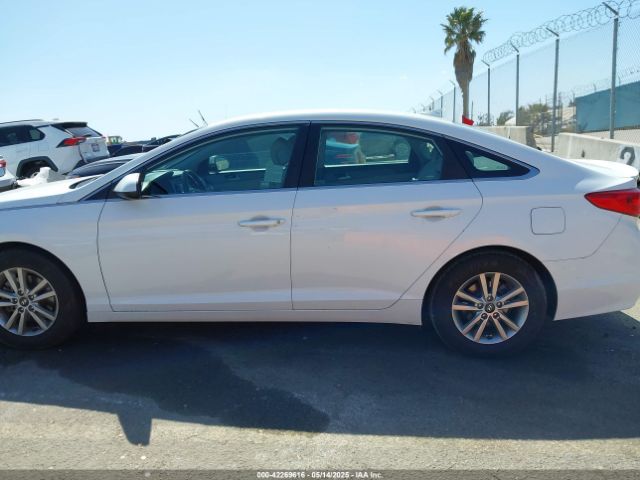 5NPE24AF0HH464172 Hyundai 2017
