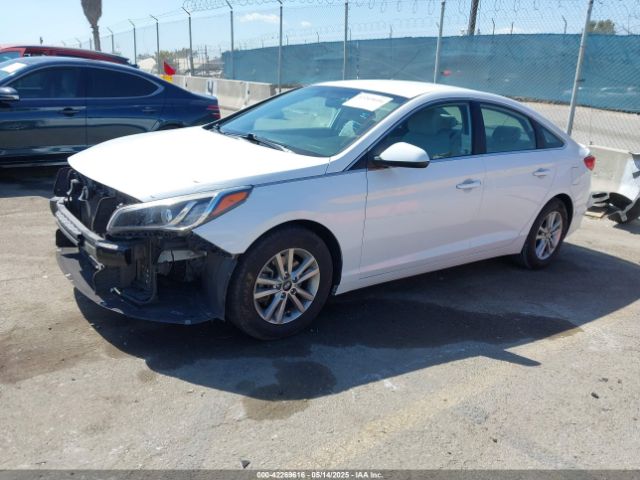 5NPE24AF0HH464172 Hyundai 2017
