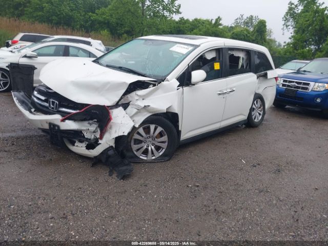 5FNRL5H6XFB015751 Honda Odyssey Ex-l