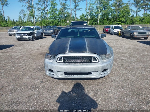 1ZVBP8EM7E5205630 Ford Mustang V6
