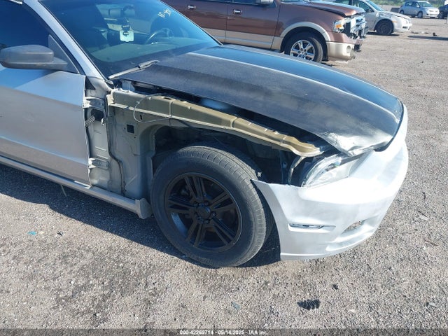 1ZVBP8EM7E5205630 Ford Mustang V6