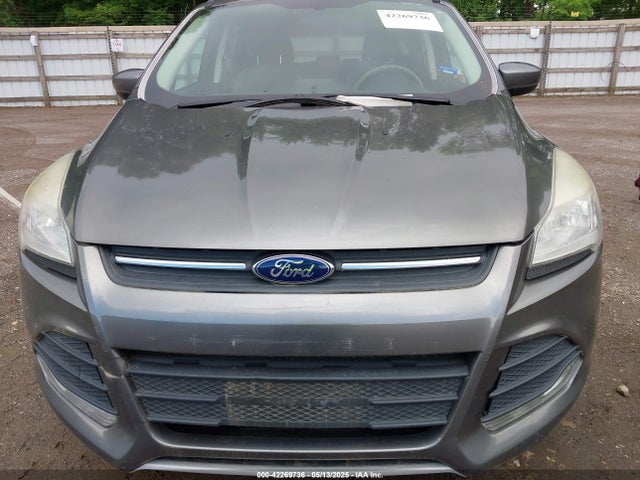 Ford ESCAPE SE 2014 1FMCU9GX7EUA59311 Image 6