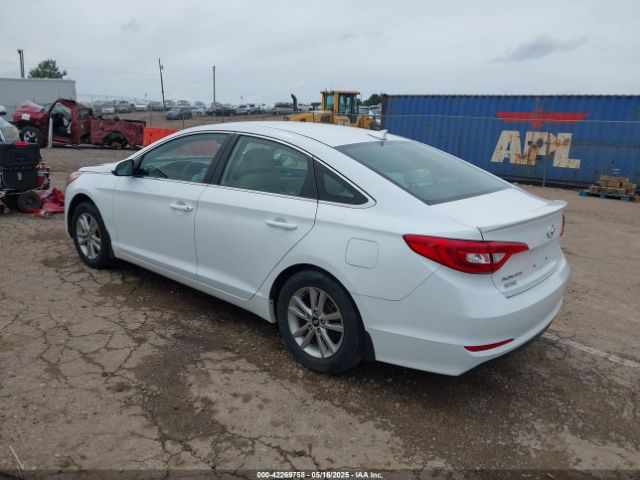 5NPE24AF5FH083768 Hyundai SONATA SE