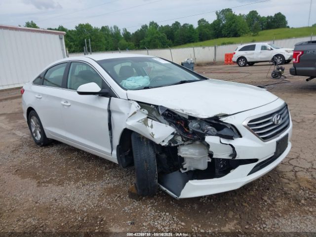 5NPE24AF5FH083768 Hyundai SONATA SE