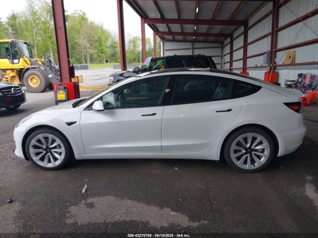 5YJ3E1EA9PF451171 Tesla Model 3 Rear-wheel Drive