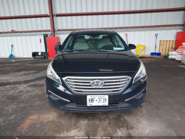 5NPE24AFXGH338979 Hyundai SONATA SE