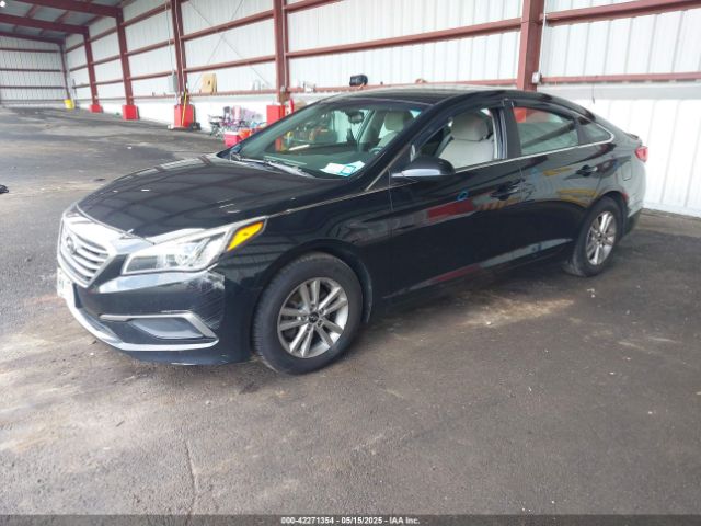 5NPE24AFXGH338979 Hyundai SONATA SE