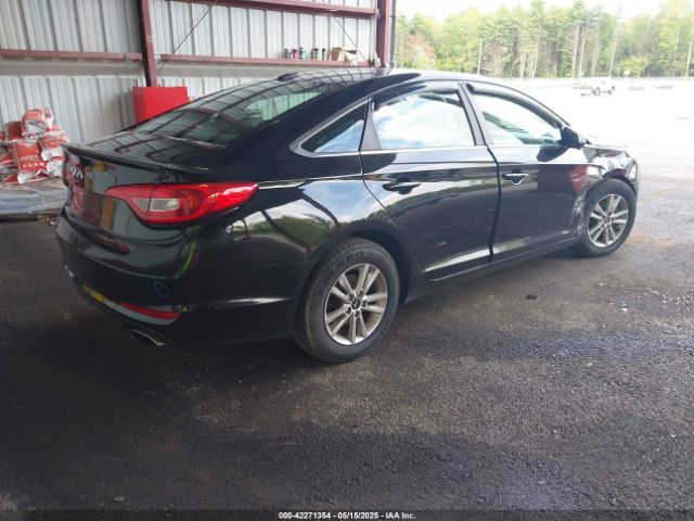5NPE24AFXGH338979 Hyundai SONATA SE