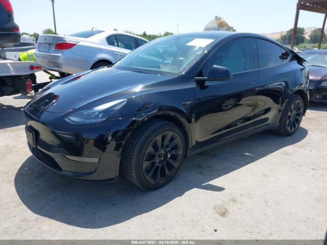 7SAYGDED9RF191453 Tesla 2024