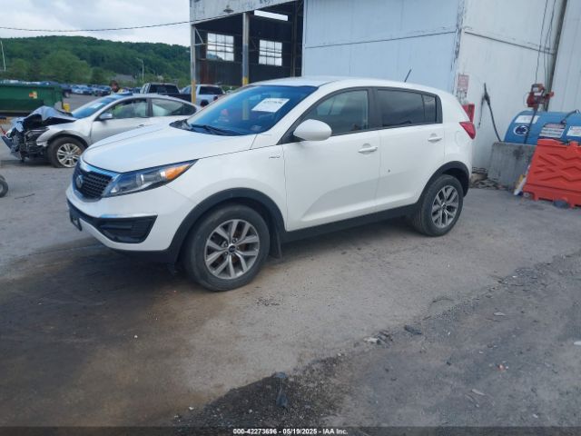 KNDPBCAC3G7811098 KIA Sportage Lx