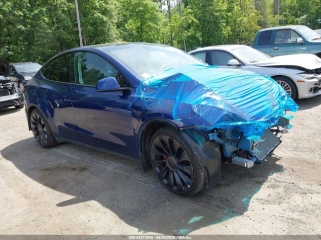 2023 TESLA MODEL Y 7SAYGDEF8PF592152