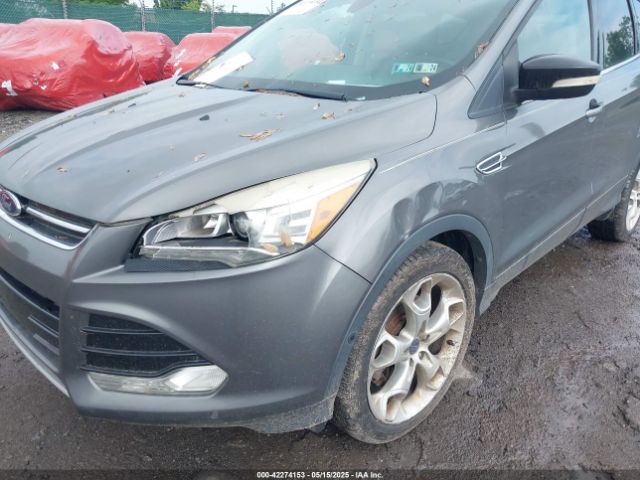 2014 FORD ESCAPE 1FMCU9J96EUB66117 Photo 5