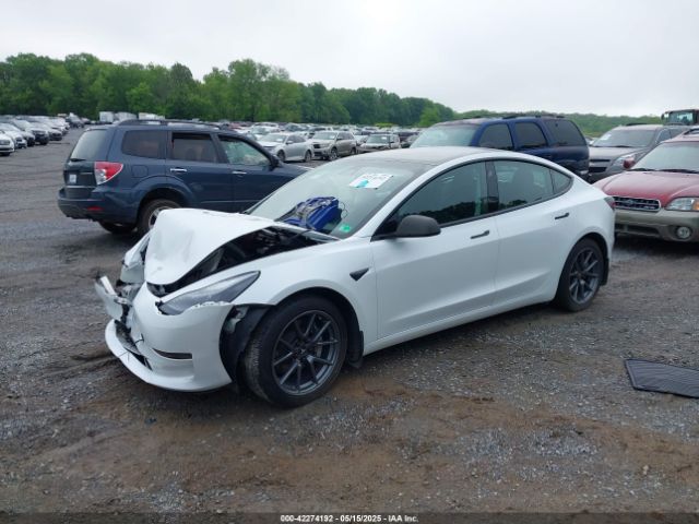 5YJ3E1EA8MF023748 Tesla 2021