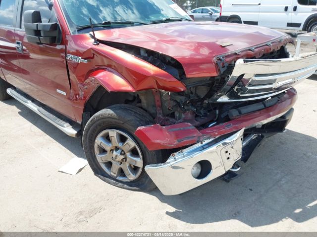1FTFW1ET7EKE51911 Ford F-150 Xlt