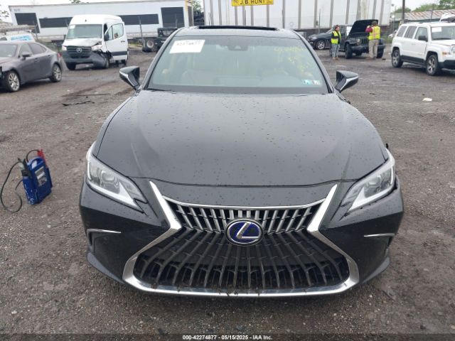 58AEA1C19NU025142 Lexus Es 300h Luxury