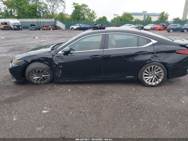 58AEA1C19NU025142 Lexus Es 300h Luxury