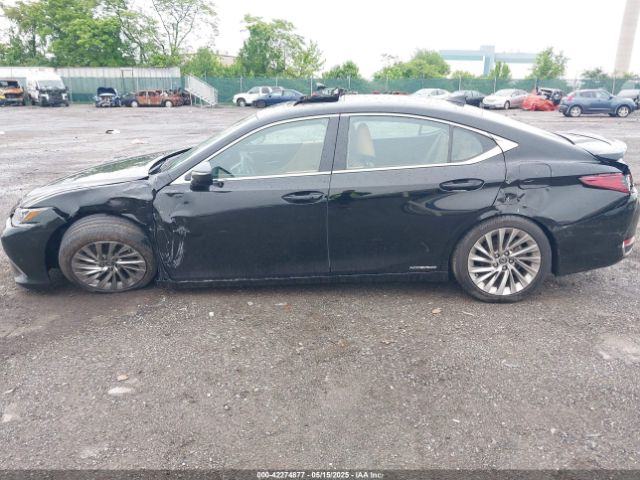 58AEA1C19NU025142 Lexus Es 300h Luxury