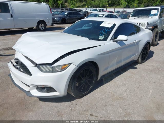 1FA6P8TH6F5369551 Ford 2015