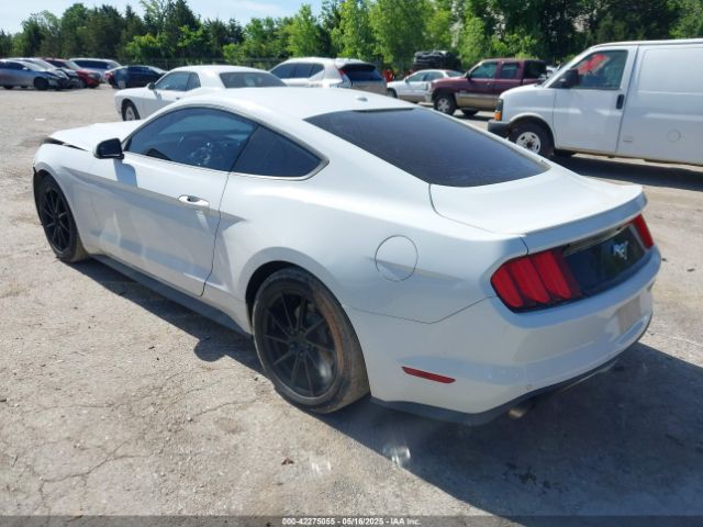 1FA6P8TH6F5369551 Ford 2015