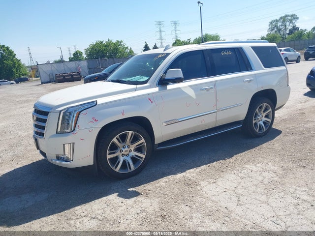 2015 CADILLAC ESCALADE 1GYS4MKJ6FR680897 Photo 1