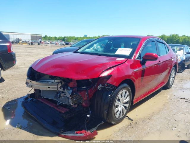 4T1C31AK5MU030499 Toyota Camry Le Hybrid