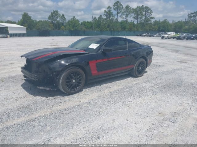 1ZVBP8AM9E5325001 Ford Mustang V6