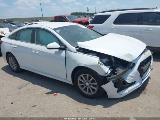2019 HYUNDAI SONATA 5NPE24AF1KH774158