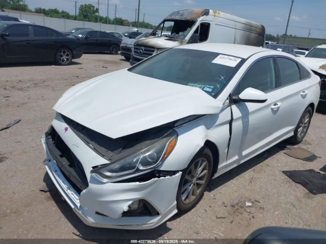 2019 HYUNDAI SONATA 5NPE24AF1KH774158 Photo 1