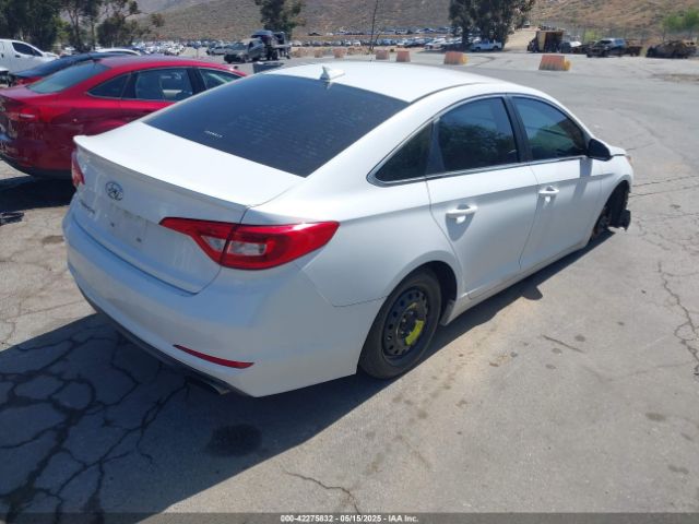 5NPE24AF6HH547296 Hyundai SONATA SE