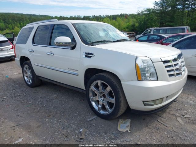 2010 CADILLAC ESCALADE 1GYUCCEF5AR268699
