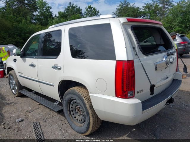 2010 CADILLAC ESCALADE 1GYUCCEF5AR268699 Photo 2