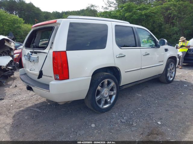 2010 CADILLAC ESCALADE 1GYUCCEF5AR268699 Photo 3