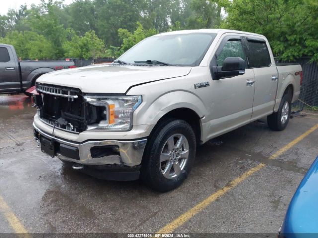1FTEW1EGXJKD54937 Ford F-150 Xlt