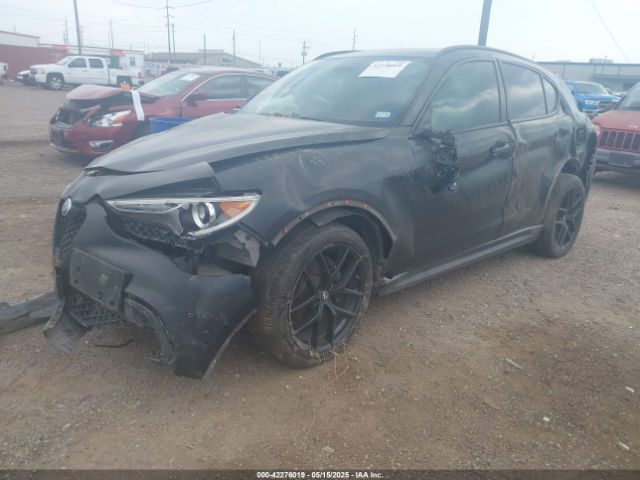 2019 ALFA ROMEO STELVIO ZASPAKBN9K7C51133 Photo 1