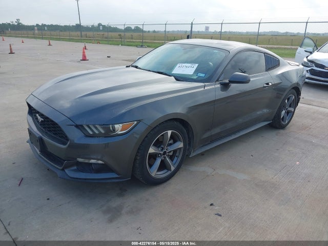 Ford 2015 2015 1FA6P8TH8F5381524 Image 2