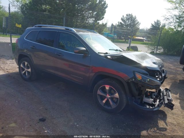 2019 JEEP CHEROKEE 1C4PJMDX2KD463523