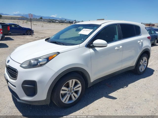 KNDPM3AC0H7220304 KIA Sportage Lx