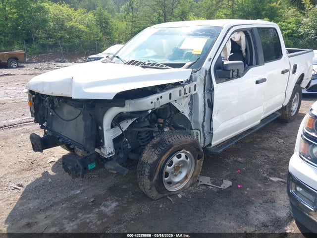 1FTFW1E5XMFA29043 Ford F-150 Xl