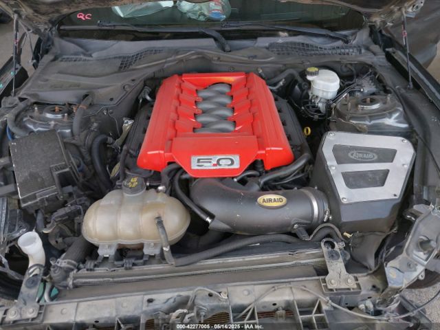 1FA6P8CF7F5370481 Ford MUSTANG GT