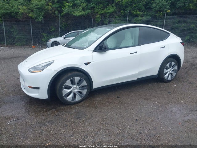 Tesla 2021 2021 5YJYGDEE6MF182630 Image 2