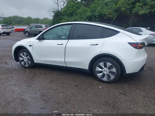 Tesla 2021 2021 5YJYGDEE6MF182630 Image 3