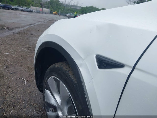 Tesla 2021 2021 5YJYGDEE6MF182630 Image 6