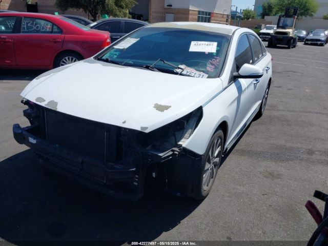 5NPE34AF9FH256091 Hyundai Sonata Sport