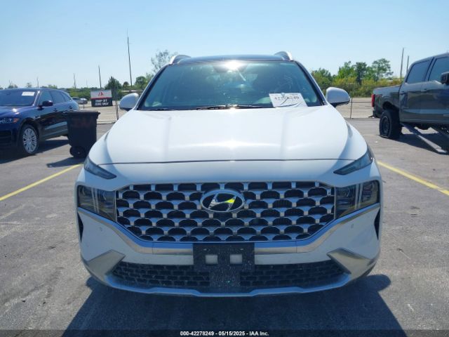 5NMS4DAL7PH524172 Hyundai Santa Fe Limited