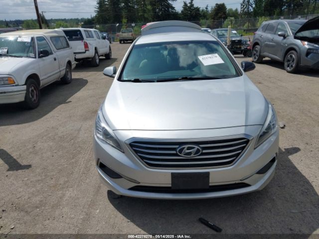 5NPE24AF3GH318525 Hyundai SONATA SE
