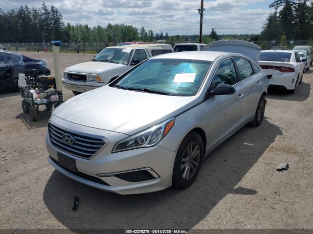5NPE24AF3GH318525 Hyundai SONATA SE